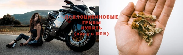 кокс Алзамай