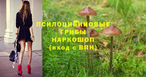 ALPHA-PVP Пестово