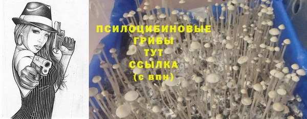 кокс Алзамай
