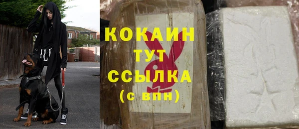 кокс Алзамай